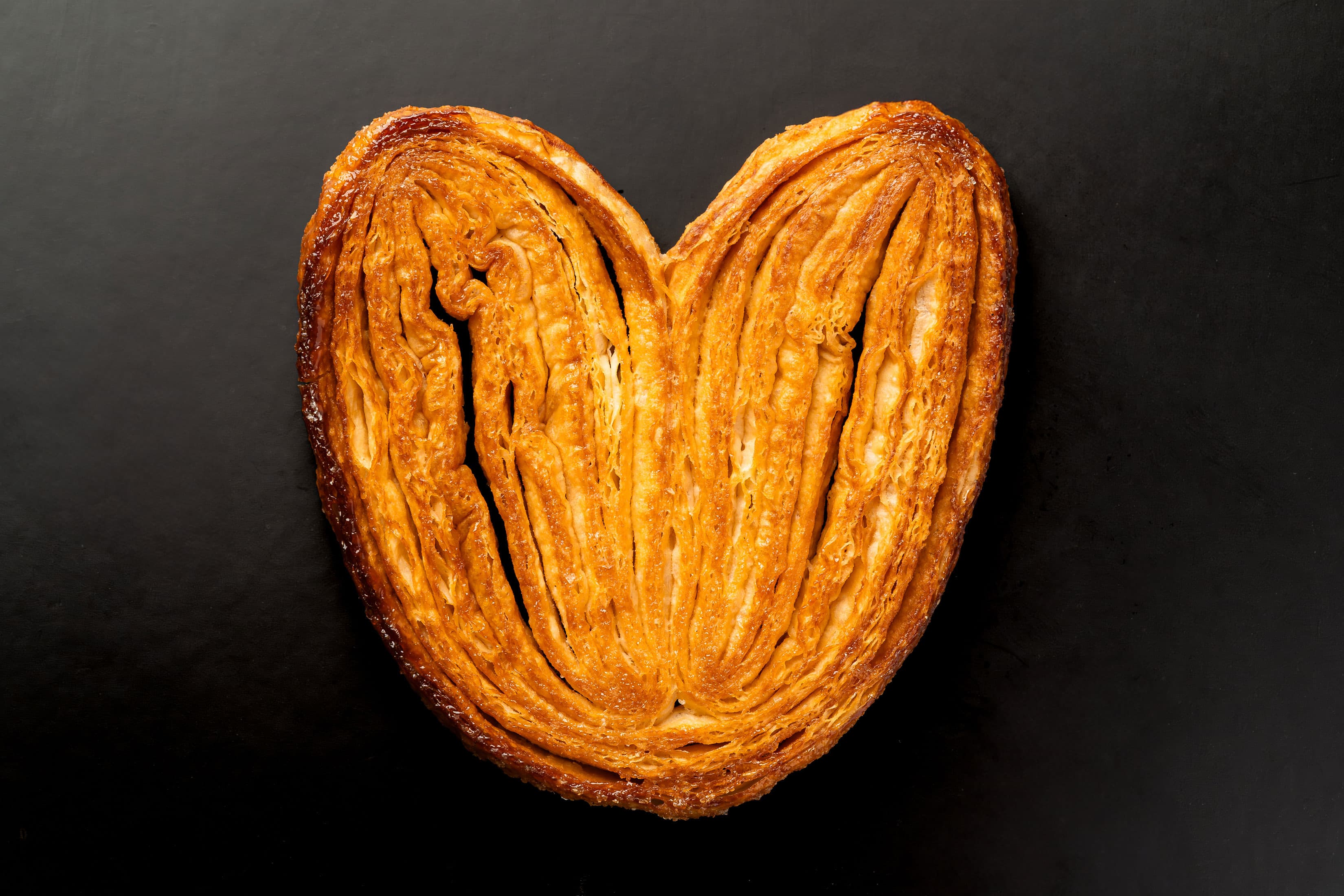 Palmera